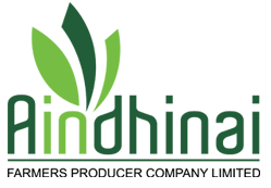 Aindhinai Logo