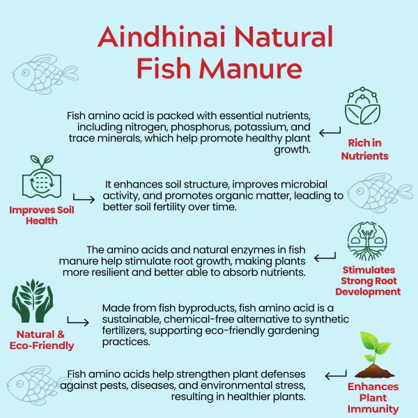 Aindhinai Natural Fish Manure - Image 3