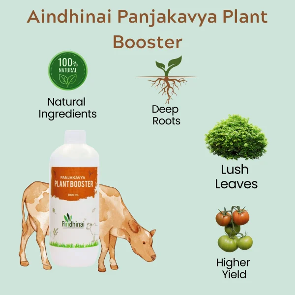 Aindhinai Panjakavya Plant Booster - Image 2