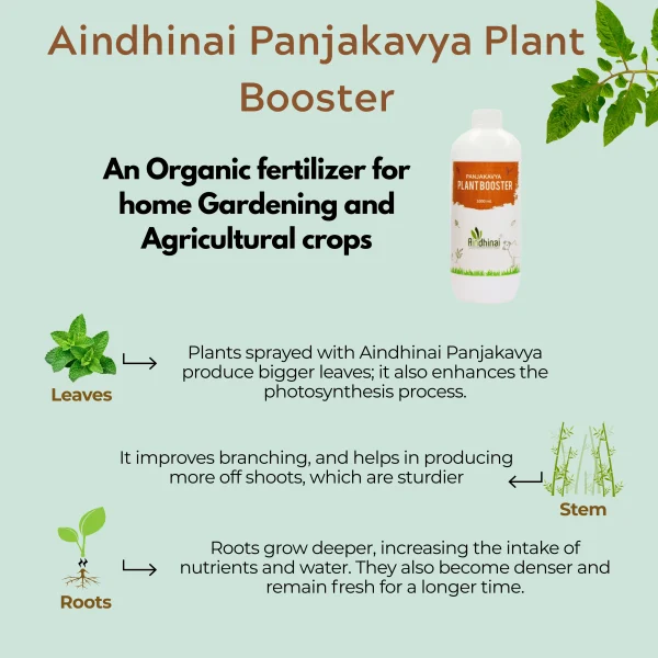 Aindhinai Panjakavya Plant Booster - Image 4