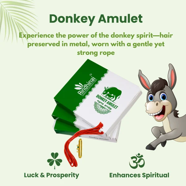Donkey Amulet கழுதை தாயத்து - Image 3