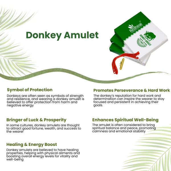 Donkey Amulet கழுதை தாயத்து - Image 4