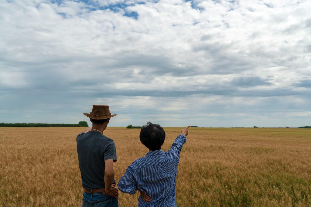 Two people in a wheat field, discussing agriculture, under a cloudy sky.