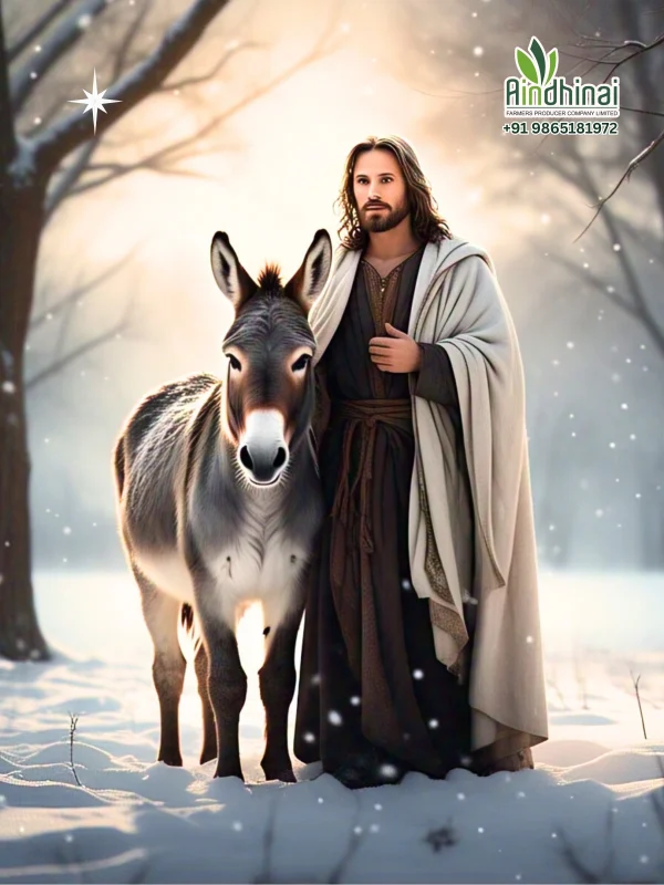 Jesus with His Donkey