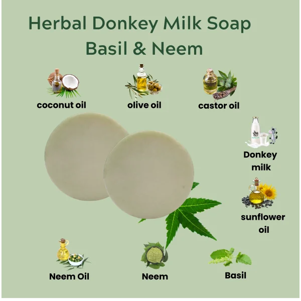 Herbal Donkey Milk Soap – Basil & Neem Purifying Bar - Deep Cleanse | Soothe | Restore Balance. Enriched with Donkey Milk, Basil , Neem and Botanical Oils - Image 3
